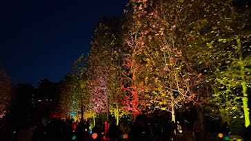 NAKED 紅葉の新宿御苑2023に投稿された画像（2023/12/5）