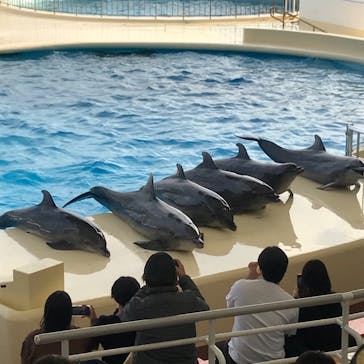 マリンワールド海の中道に投稿された画像（2023/12/5）