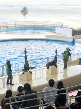 マリンワールド海の中道に投稿された画像（2023/12/5）
