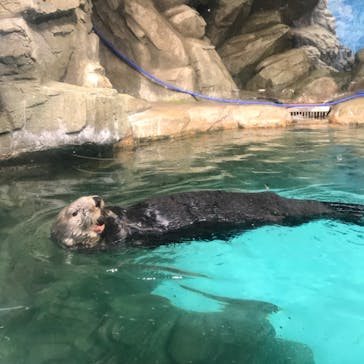マリンワールド海の中道に投稿された画像（2023/12/5）