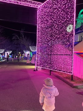 さがみ湖MORI MORIに投稿された画像（2023/12/5）