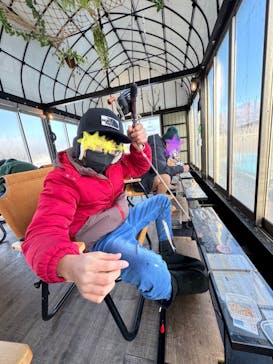 NaturaBaseに投稿された画像（2023/12/5）