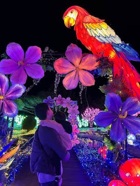 伊豆ぐらんぱる公園に投稿された画像（2023/12/5）