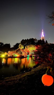 NAKED 紅葉の新宿御苑2023に投稿された画像（2023/12/5）