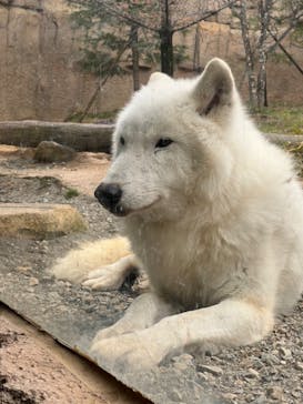 那須どうぶつ王国に投稿された画像（2023/12/4）