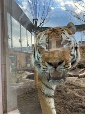 那須どうぶつ王国に投稿された画像（2023/12/4）