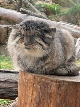 那須どうぶつ王国に投稿された画像（2023/12/4）