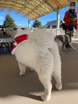 那須どうぶつ王国に投稿された画像（2023/12/4）