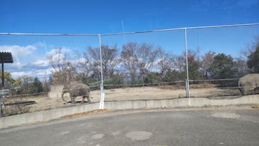 群馬サファリパークに投稿された画像（2023/12/6）