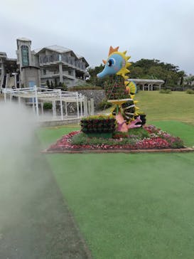 沖縄美ら海水族館に投稿された画像（2023/12/6）