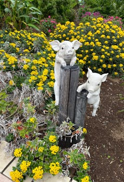 ニューヨークランプミュージアム＆フラワーガーデンに投稿された画像（2023/12/6）