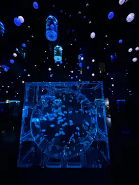 マクセル アクアパーク品川に投稿された画像（2023/12/6）