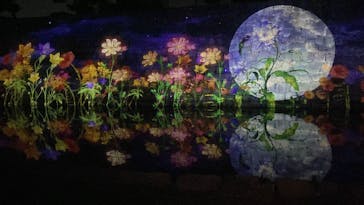 NAKED meets 二条城 2025 観月に投稿された画像（2023/12/6）