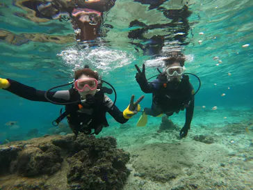 武藤潜水に投稿された画像（2023/12/6）