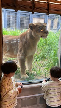沖縄こどもの国に投稿された画像（2023/12/6）