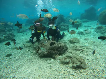 武藤潜水に投稿された画像（2023/12/6）