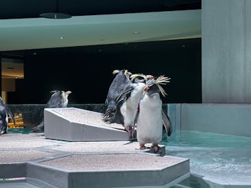 AOAO SAPPOROに投稿された画像（2023/12/6）