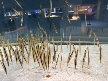 AOAO SAPPOROに投稿された画像（2023/12/6）