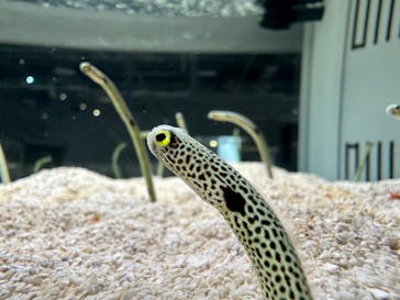 AOAO SAPPOROに投稿された画像（2023/12/6）