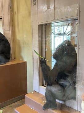 名古屋市東山動植物園に投稿された画像（2023/12/6）