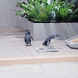 AOAO SAPPOROに投稿された画像（2023/12/6）