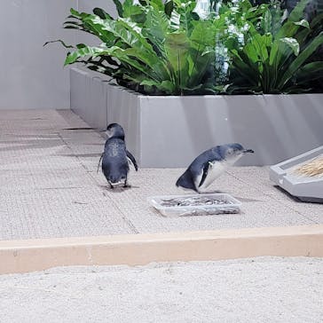 AOAO SAPPOROに投稿された画像（2023/12/6）