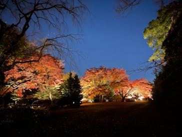 六義園に投稿された画像（2023/12/6）