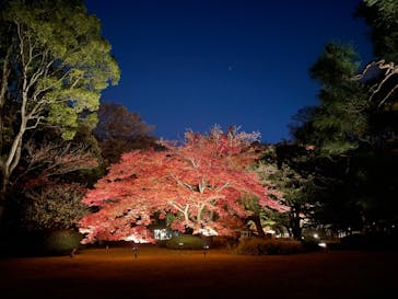 六義園に投稿された画像（2023/12/6）