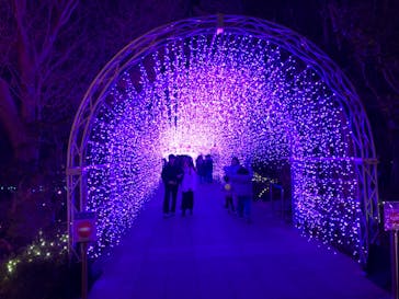 江の島シーキャンドルに投稿された画像（2023/12/6）