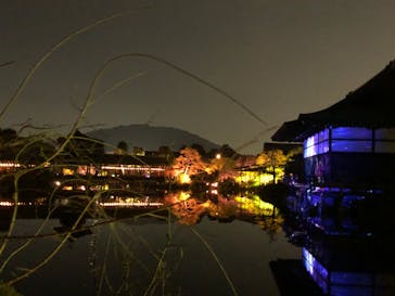 NAKEDヨルマイリ 2025-26 平安神宮に投稿された画像（2023/12/6）