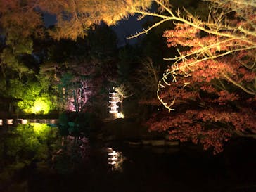 NAKEDヨルマイリ 2025-26 平安神宮に投稿された画像（2023/12/6）