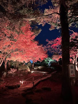 日本庭園　由志園に投稿された画像（2023/12/6）