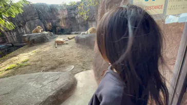 天王寺動物園に投稿された画像（2023/12/6）