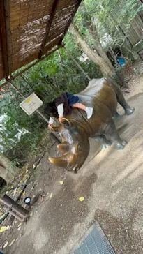 天王寺動物園に投稿された画像（2023/12/6）