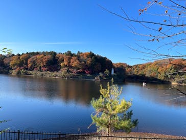 ムーミンバレーパークに投稿された画像（2023/12/6）