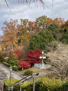 博物館 明治村に投稿された画像（2023/12/6）