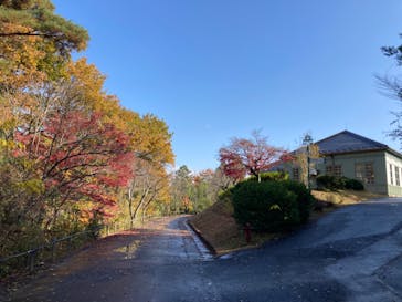 博物館 明治村に投稿された画像（2023/12/6）