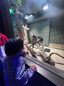 カワスイ 川崎⽔族館に投稿された画像（2023/12/7）