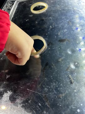 カワスイ 川崎⽔族館に投稿された画像（2023/12/7）