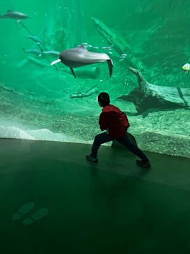 カワスイ 川崎⽔族館に投稿された画像（2023/12/7）