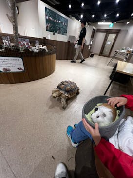 カワスイ 川崎⽔族館に投稿された画像（2023/12/7）