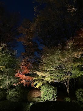 江戸東京たてもの園に投稿された画像（2023/11/25）