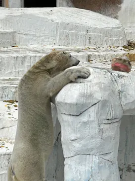 天王寺動物園に投稿された画像（2023/12/7）