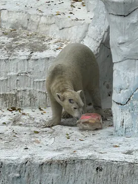 天王寺動物園に投稿された画像（2023/12/7）
