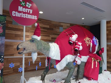 福井県立恐竜博物館に投稿された画像（2023/12/7）