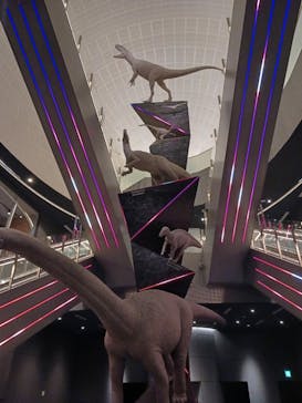 福井県立恐竜博物館に投稿された画像（2023/12/7）