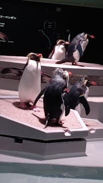 AOAO SAPPOROに投稿された画像（2023/12/7）