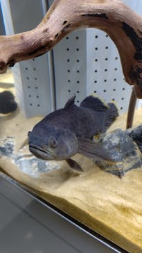 AOAO SAPPOROに投稿された画像（2023/12/7）