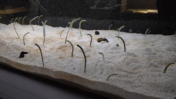 AOAO SAPPOROに投稿された画像（2023/12/7）