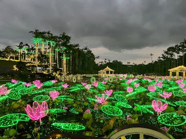 美らヤシパークオキナワ・東南植物楽園に投稿された画像（2023/12/7）